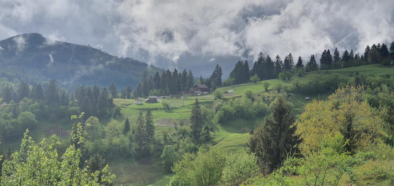 Tulean Cabin Sacel  Екстер'єр фото