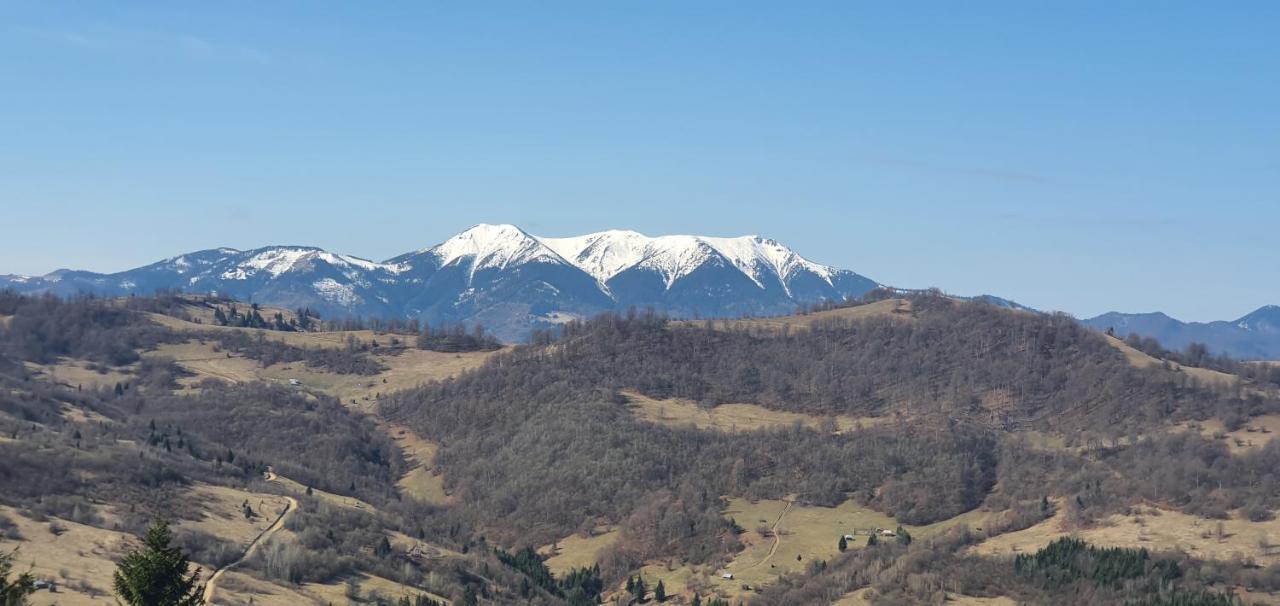 Tulean Cabin Sacel  Екстер'єр фото